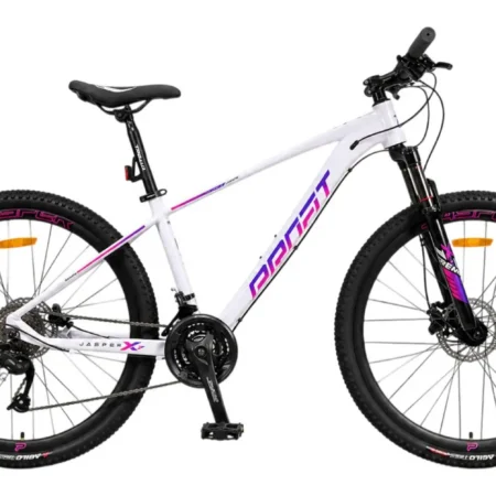 Bicicleta MTB Rin 29 Profit Jasper RX 10 Velocidades Talla XS - Imagen 3