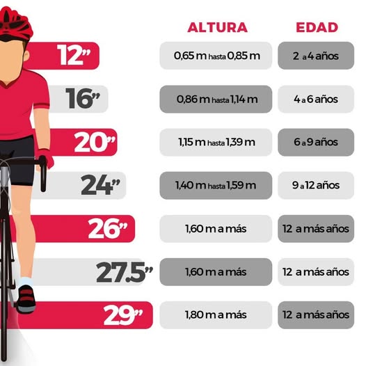 Bike size chart for kids and adults by height and age, from 12" to 29".