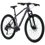Gw Raven Dama