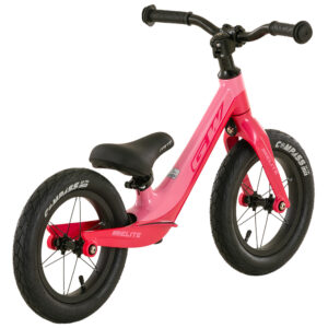 BICICLETA RIN 12 APRENDIZAJE GW ELITE MAGNESIO - Imagen 6