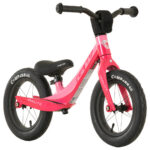 bicicleta de impulso gw elite