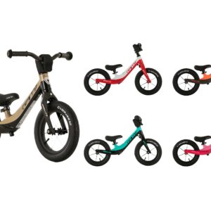 BICICLETA RIN 12 APRENDIZAJE GW ELITE MAGNESIO - Imagen 14